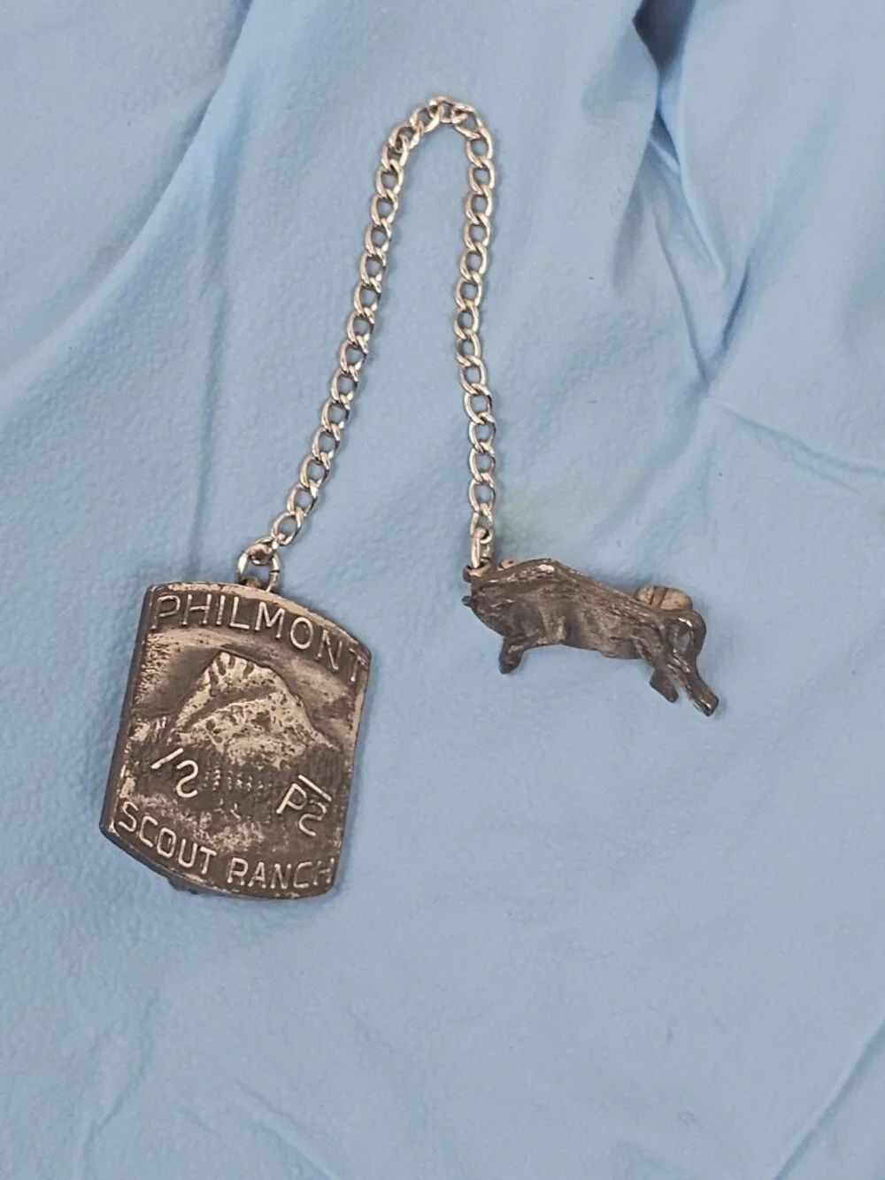 Philmont Scout Ranch Robbins Bull Tooth of Time Sterling Silver Lapel Pin BSA